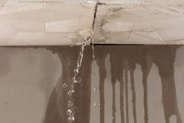 Professional Flood Damage Cleanup technician working in Newton, IA